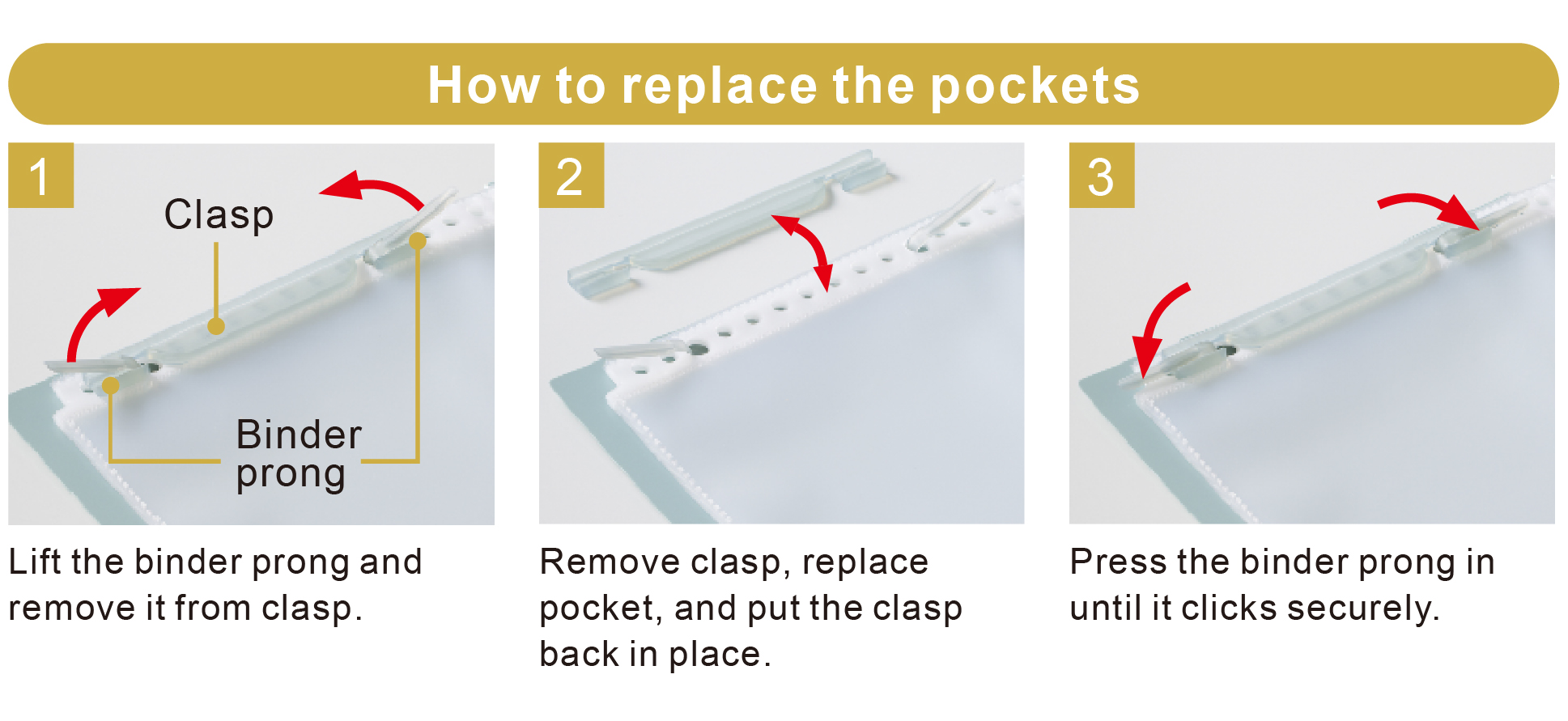 Mutual Foldable Clear Book